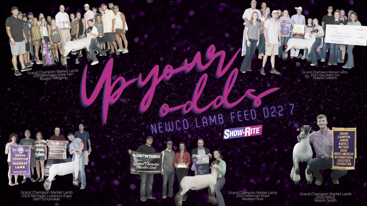 Lots of sales going on in the next couple weeks... time to get those lambs on feed! Increase your odds of making it to the backdrop with Newco Lamb Feed D22.7.

#pinkbags #teamshowrite #showlambs
