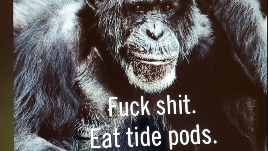 ScamCircuit's tweet photo. Picking up a track I started last month never finished =/

Come join me! https://t.co/JSz4O3kBJr

#fuckshit #eattidepods #scam #dnb #ableton #musicproduction https://t.co/MOuMtQm82r