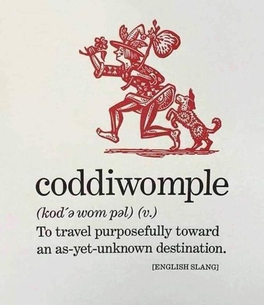 Ellen_Sparry's tweet photo. I think we all could use a little coddiwompling! #newfavoriteword https://t.co/pJPdV2f0Wf