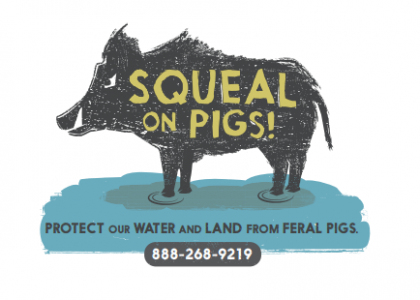 OISCouncil's tweet photo. Please report any feral pig sightings in Oregon, Washington, or Idaho by calling the toll-free feral swine hotline: 1-888-268-9219 https://t.co/rrRqYgT9yV