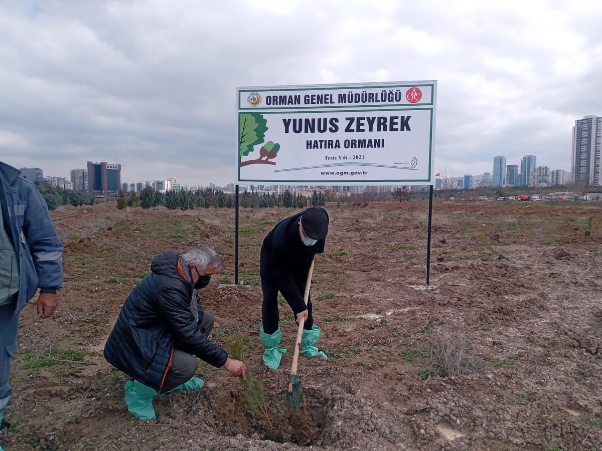 turkocaklari's tweet photo. Genel Başkanımız Prof. Dr. Mehmet Öz ve beraberindeki yönetim kurulu üyelerimiz, merhum Yunus Zeyrek adına Ankara Atatürk Orman Çiftliği’nde oluşturulan hatıra ormanında fidan dikimi gerçekleştirdiler. https://t.co/GDdSoVGWCD