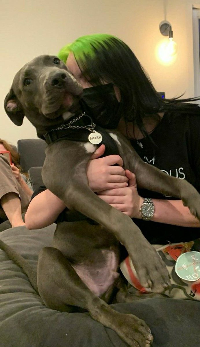 your camera roll if billie eilish was your girlfriend: a thread