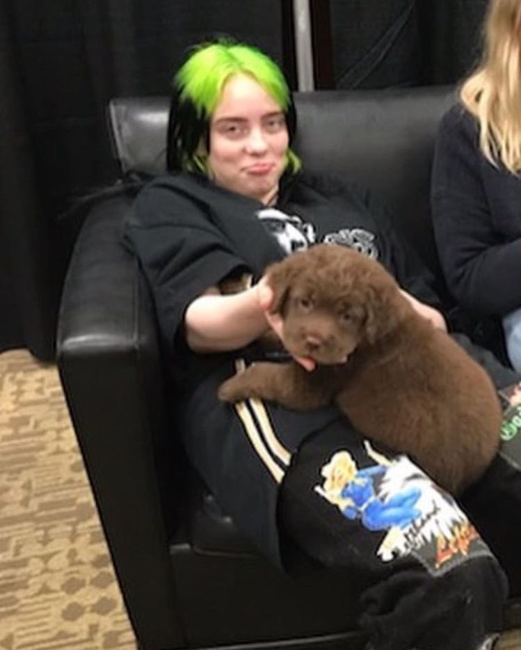 your camera roll if billie eilish was your girlfriend: a thread