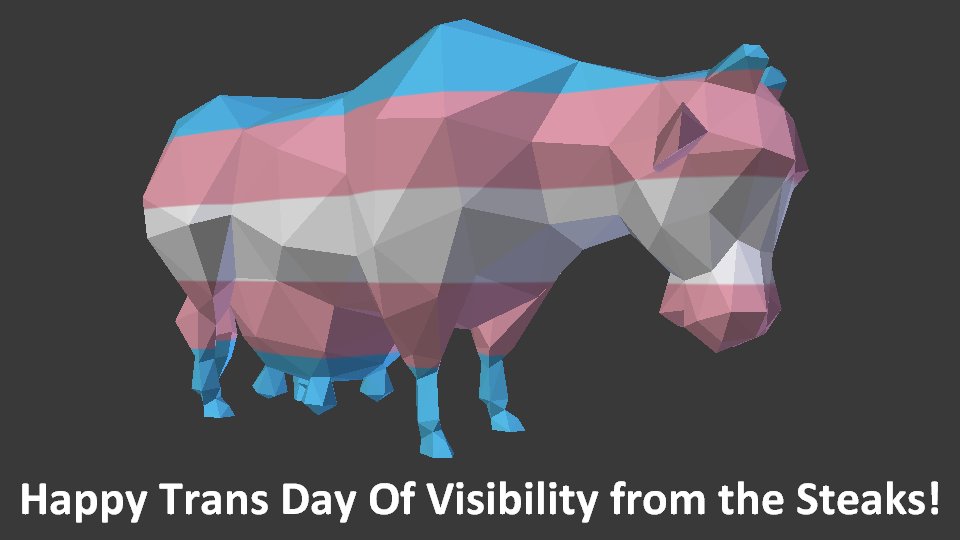 It's #TransDayOfVisibility, always remember that trans rights are human rights!
