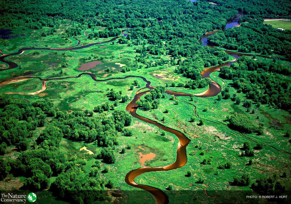 JenMorrisNature's tweet photo. Crucial and much-needed investments in nature-based solutions and disaster funding will help build resilience for people &amp; nature in the face of the climate crisis. #AmericanJobsPlan #NatureNow https://t.co/RBGZVeLsHg