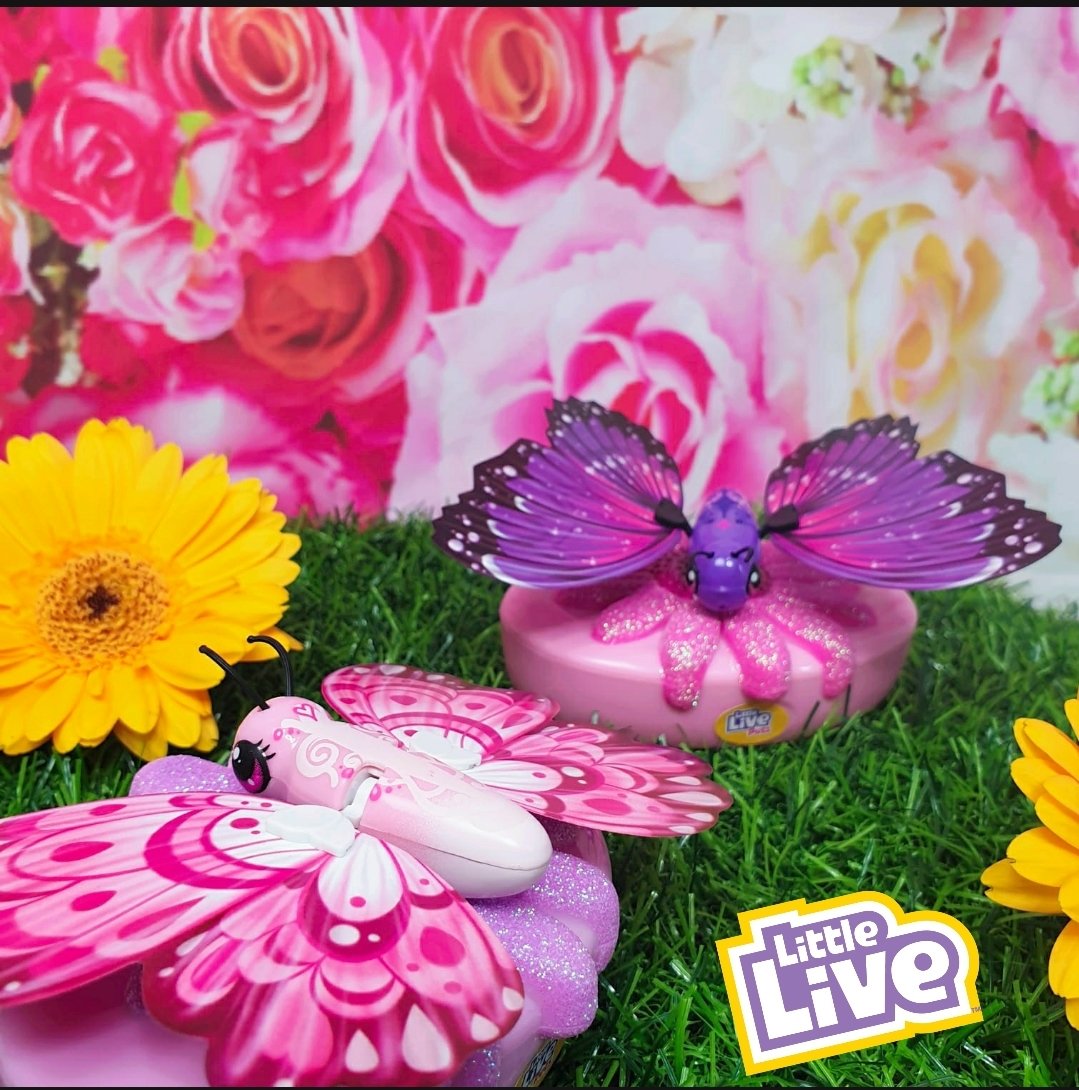 MMoonicorn's tweet photo. #gifted The Little Live Lil Butterflies are so life like! The flap and flutter just like real Butterflies in the plam of your hand!  🦋 @CharacterToysUK #littlelivetoys #charactertoys #Characterkidz #butterfly #butterflies https://t.co/vProMaTHlc