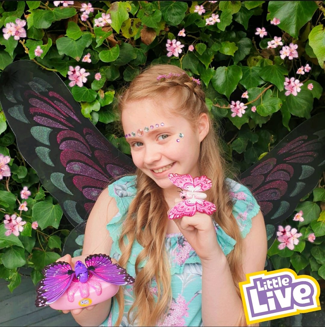 MMoonicorn's tweet photo. #gifted The Little Live Lil Butterflies are so life like! The flap and flutter just like real Butterflies in the plam of your hand!  🦋 @CharacterToysUK #littlelivetoys #charactertoys #Characterkidz #butterfly #butterflies https://t.co/vProMaTHlc