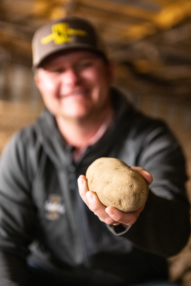 uidaho's tweet photo. Did you know? McDonalds chose the Clearwater Russet — developed by Vandals at the University of Idaho — as a potato variety to use in their famous French fries? #FunFact #NationalTaterDay https://t.co/1AENcXRNsk