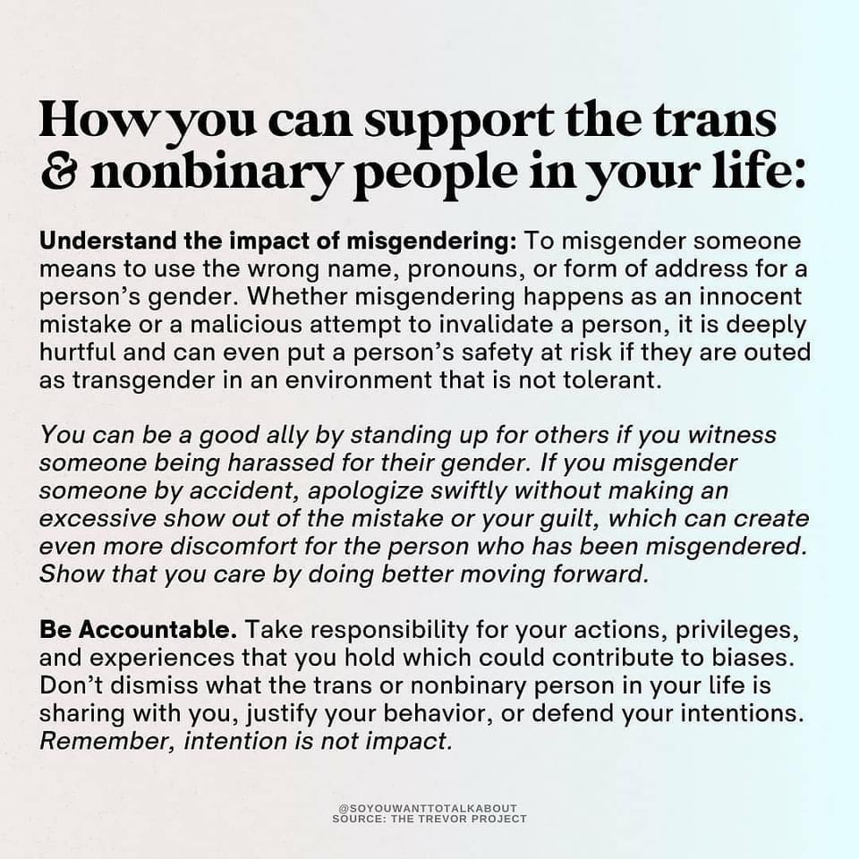 castleofgems's tweet photo. How to support the trans people in your life. 🏳️‍⚧️ https://t.co/ATqgRgn237