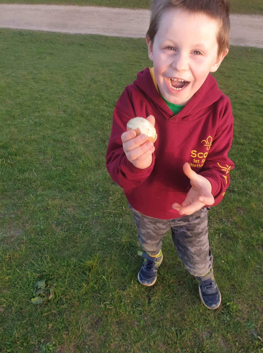 Eppleton1st's tweet photo. Our Beavers raced to the top of Herrington Park Hill for there Easter Egg roll and Egg hut #beavers  #Easter2021 https://t.co/dWzWnEL2FV