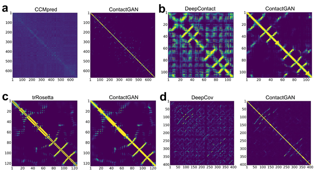 kiharalab's tweet photo. New paper "Protein Contact Map Refinement for Improving Structure Prediction Using Generative Adversarial Networks" in Bioinformatics now released online!  https://t.co/iye1PDRycw @PurdueCS https://t.co/fTsO1o42tt