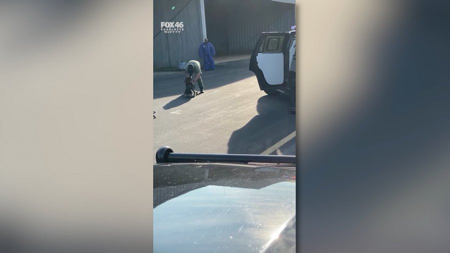 OnPatrolK9's tweet photo. Cop resigns after video shows him slamming his K-9 into a patrol car
🐶Fine, doesn't deserve to wear a badge.
https://t.co/SEfOHbMPzV
#BlueLine #BackTheBlue #dog #K9 #police #military #WaronDrugs #LivePD https://t.co/Xm2yU0j2XH