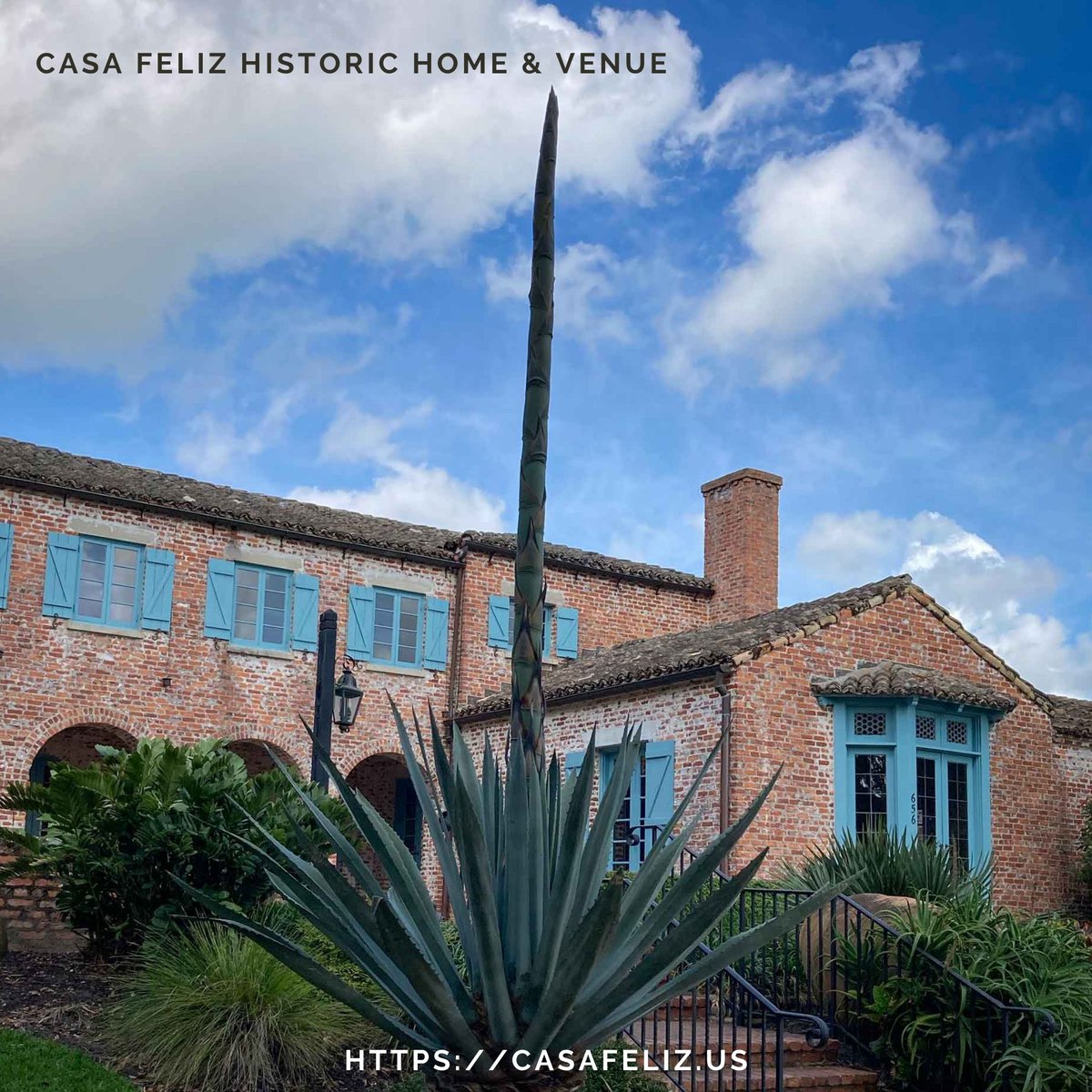 CasaFelizMuseum's tweet photo. The agave is growing! This is the view of our "Century Plant," as it heads for its final blossoming. #casafeliz  #winterpark #history #horticulture #architecture https://t.co/5VKgTmtuH9