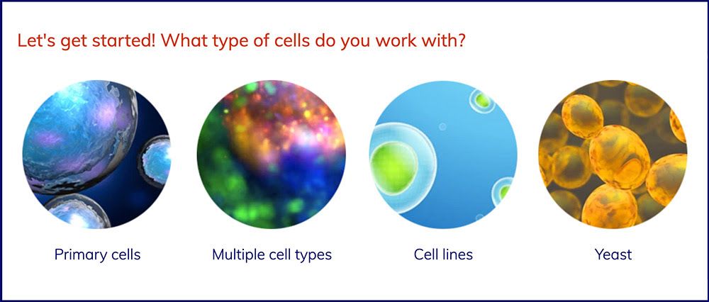 Nexcelom's tweet photo. π What cell types are you counting?
π οΈ Check out this tool to determine what cell counting methods you should be using based on your cell type.
https://t.co/rq1paenBNO
#cellcounting #cellwork #labwork #phdlife #science #biology https://t.co/8AHag4JIpy