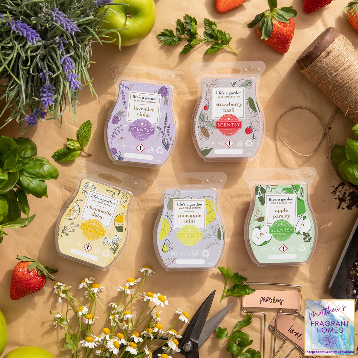 Msfragranthomes's tweet photo. If you missed out on getting the collection this evening then don’t worry, the bars are available individually! 

And any fragrance that is showing out of stock, you can add them to a Scentsy club subscription where you can choose either a monthly delivery, every two months or... https://t.co/zXfIBs84Dv