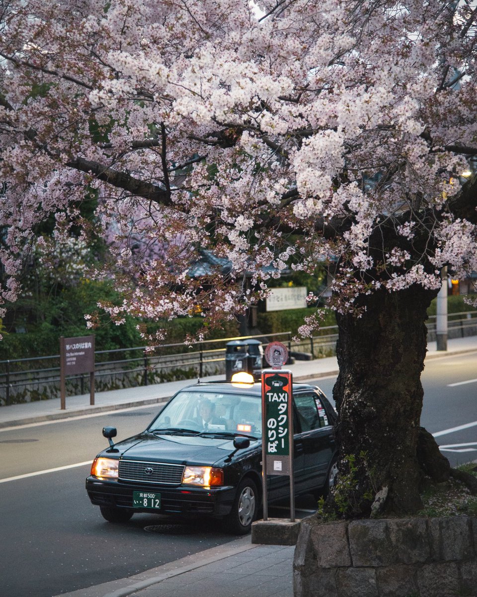 Cherry blossom season last year, in Kyoto. The sun was getting down, this guy was waiting for non-existent tourists to catch for a ride.
