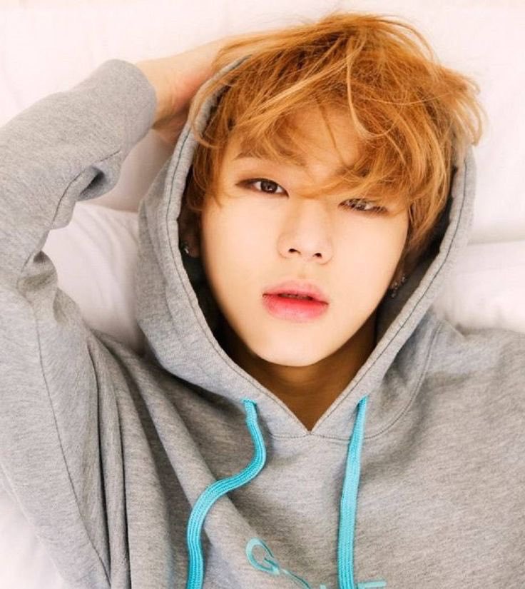 DailySeungyoon's tweet photo. ✨🦊✨

#ZICO https://t.co/QDnDShgVXs