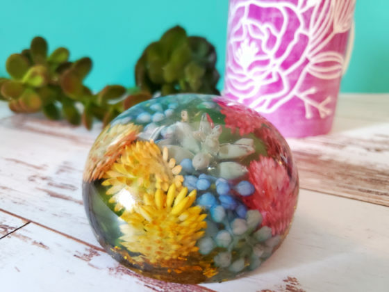 Resincrafts's tweet photo. Dome Resin Mold with Succulents https://t.co/V5xnnWBBDm https://t.co/b8FbU0T6Uj