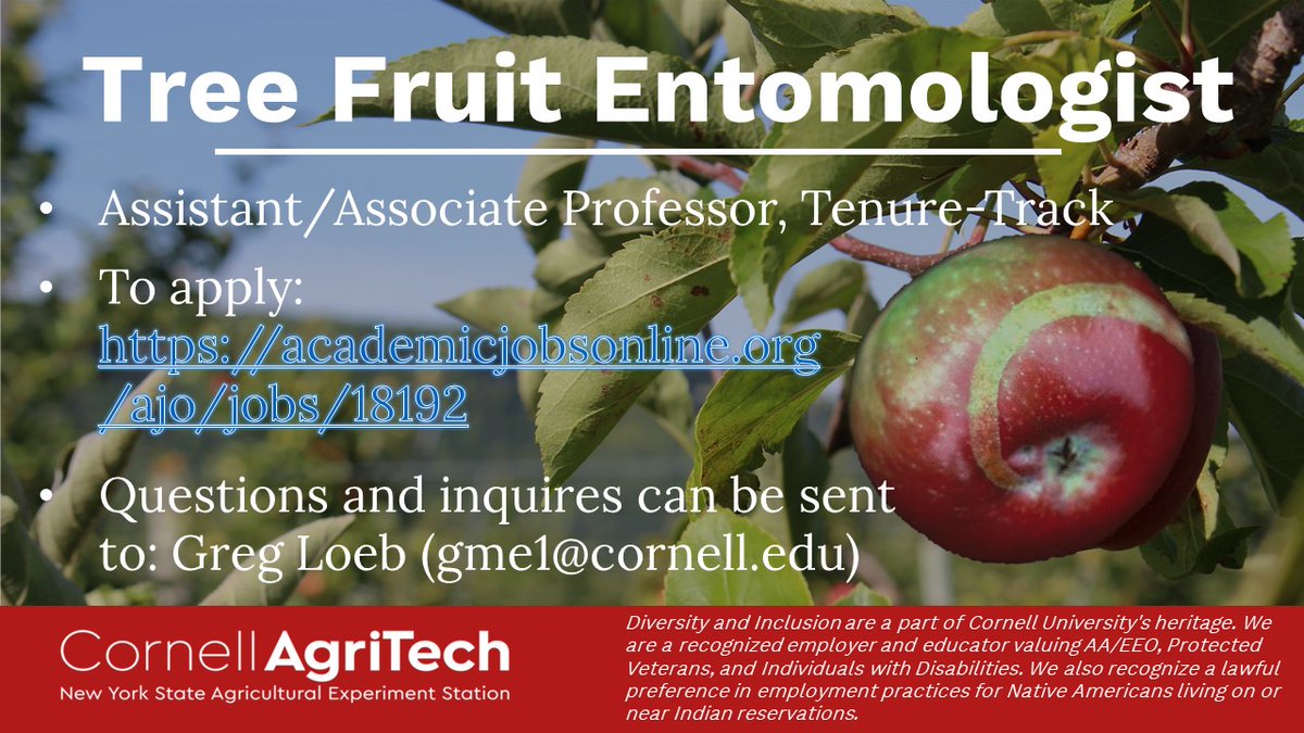 Are you an applied entomologist? Do you enjoy collaborations with growers to solve real-world problems? This job may be for you! Cornell Ento is hiring a tree fruit entomologist and we enthusiastically invite candidates from all backgrounds to apply. <a href="/cornellento/">Department of Entomology@Cornell University</a> <a href="/CornellAgriTech/">Cornell AgriTech</a>