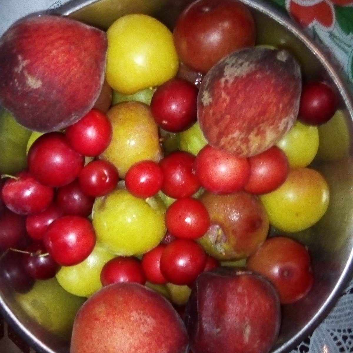 MichaLebailly's tweet photo. #spring #hot #day #miss #summer #icy #frozen #fruit #strawberry #red #green  #peach #apricots #yummy #delicious #rich in #vitamin #headaches from #sunshine 😍😍🍒🍒🍑🍑🍎🍎🍏🍏 #instagirl #instagram #instalikers #likesforlike https://t.co/dp1KzRL0fr