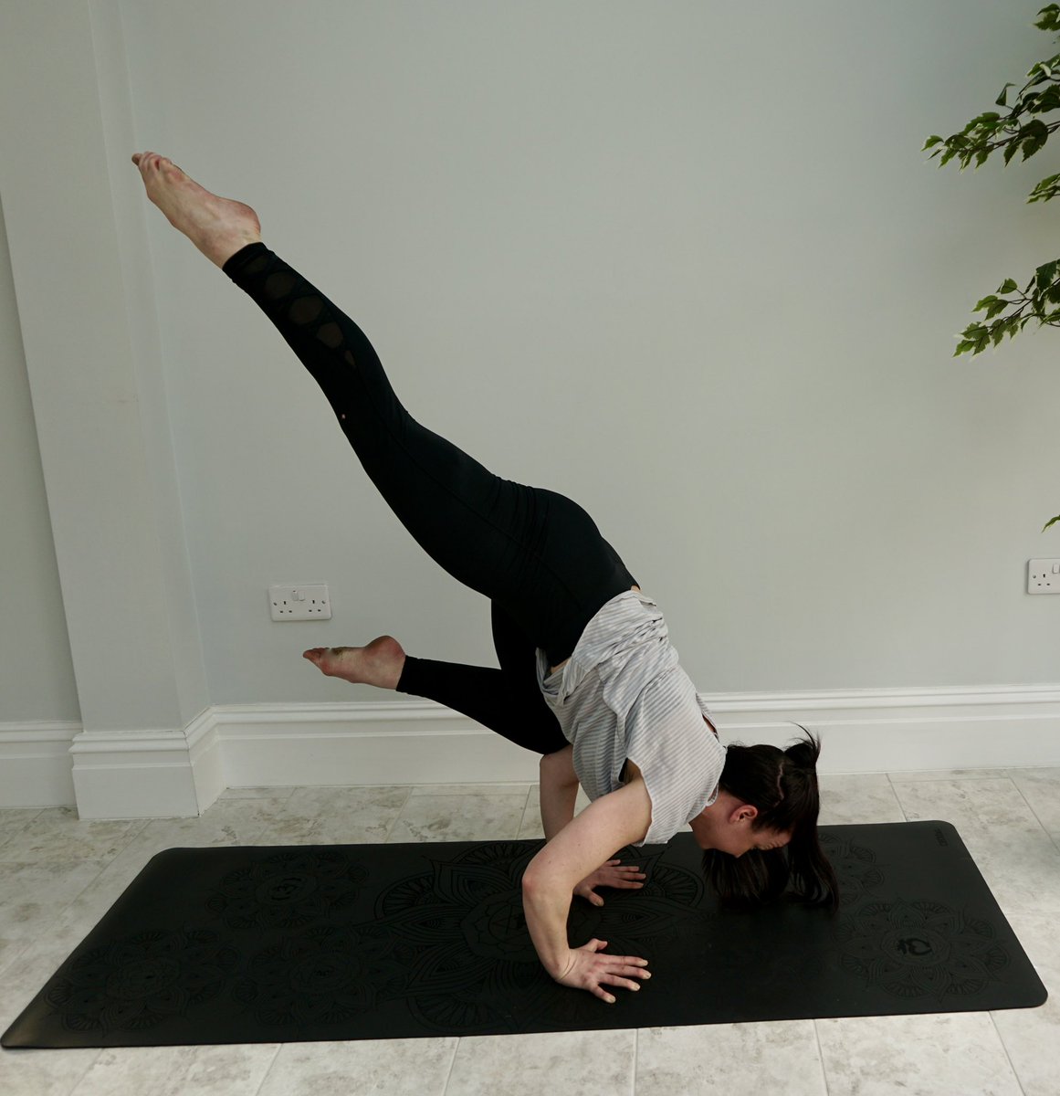 LaurenTuckTuck's tweet photo. Yoga teacher available... https://t.co/vQUJil1Az3
