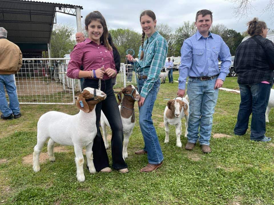 WillsPointISD's tweet photo. Our community asks for well-rounded, respectful, and hard-working kids, and that’s what we produce! Y’all go out to the Van Zandt County Fair Grounds and support our kiddos! #BeWP https://t.co/QBmE4XMqab