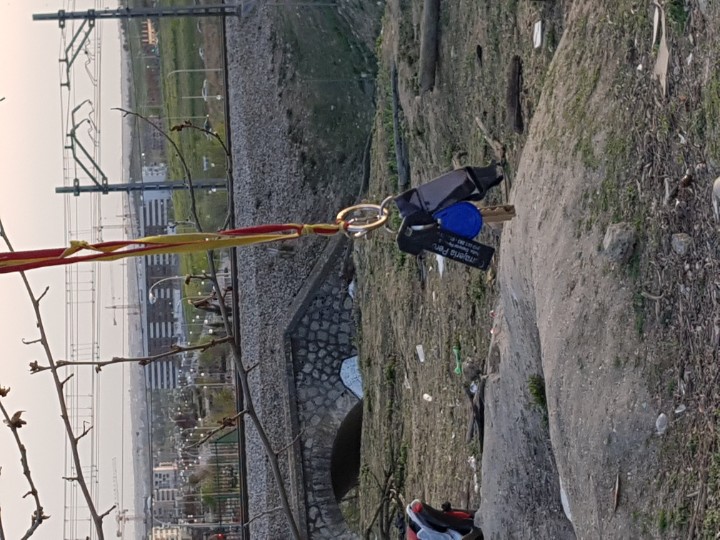 Luis T Sanz tweet media