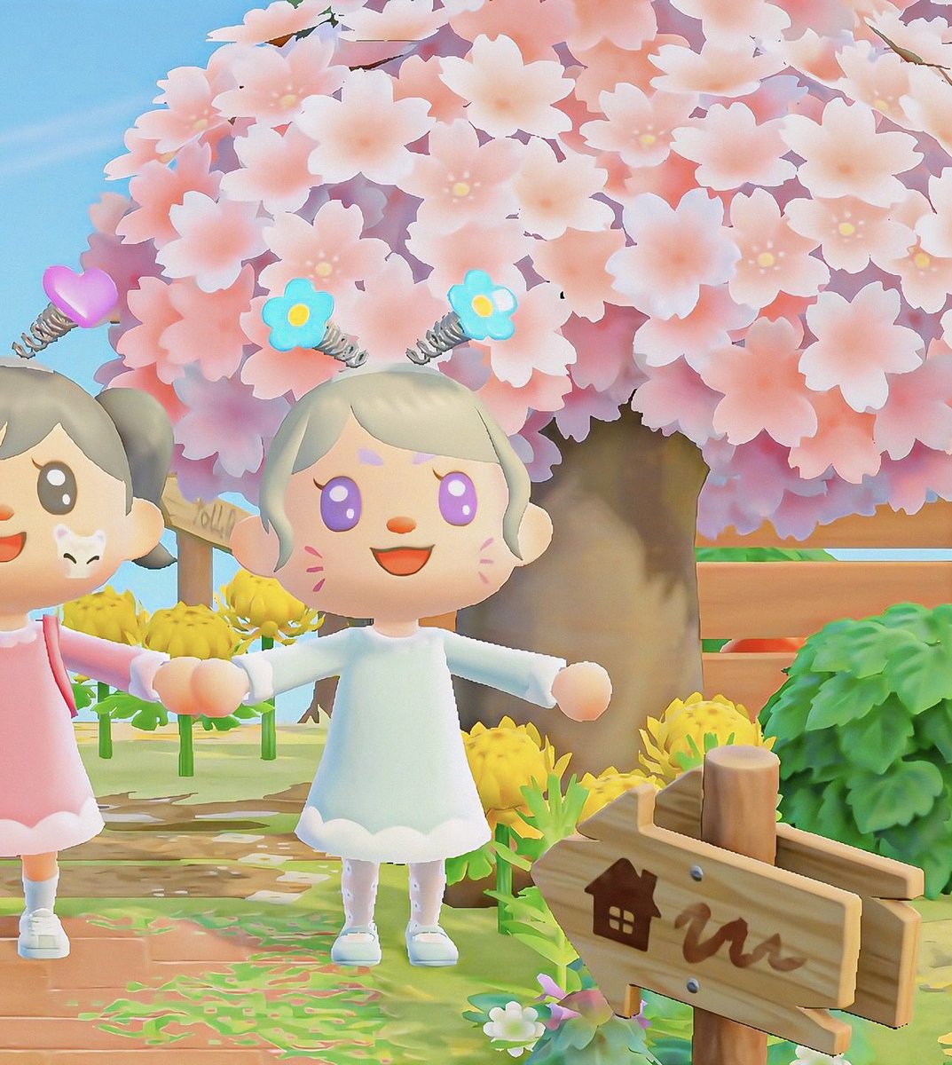 R4chtulip's tweet image. DID IT WORK?
#animalcrossing