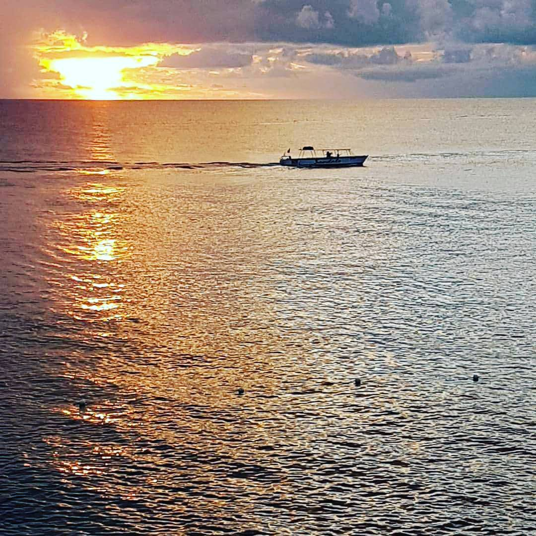 TheCavesHotel's tweet photo. Get caught up in the sheer simplicity and beauty of each sunset.
π@Thecaveshotel
#Vacation #Sunset #RomanceFactor #TheCaves #Negril #Reawakenyourspirit #Jamaica https://t.co/RcfNH6LMQR