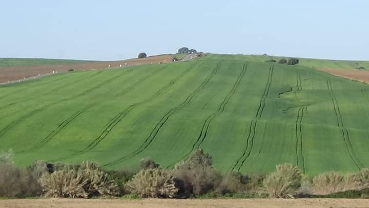 AndaluObrero's tweet photo. #ÇemanaÇanta/#SemanaSanta n'#Andaluçía...çelebraçión d'er reçurhî de la #Bía/#Vida mâh ayâ de l'impoçiçión religioça de l'imperio eppañolita trâh la primera #Luna yena de la #Primabera/#Primavera https://t.co/IADDG0J3U3