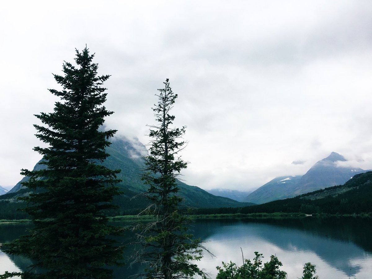 liveyjama's tweet photo. montana love https://t.co/DkpC3v2Xa6