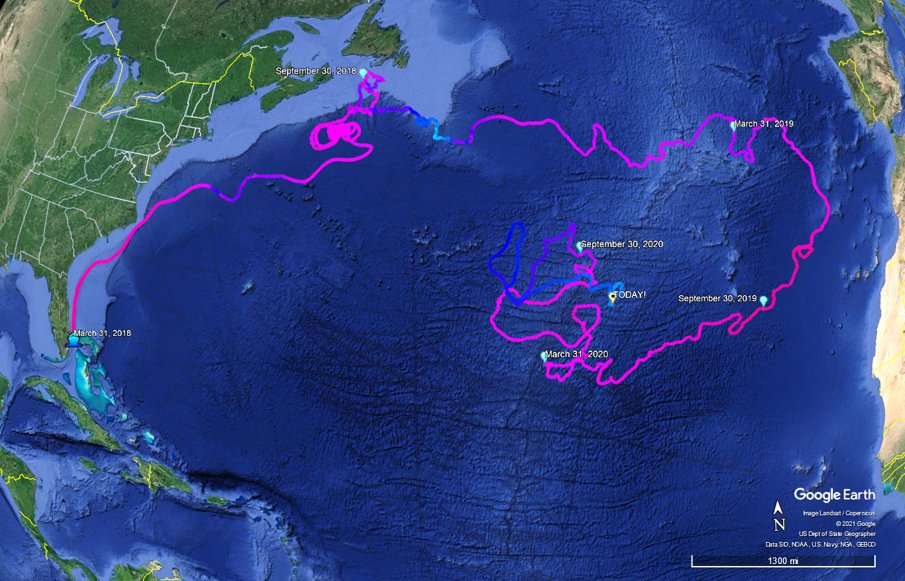 ANGARIocean's tweet photo. Remember the @MetOceanDS drifter we deployed into the #GulfStream during a #teacherPD on #rvANGARI 3 yrs ago? 

Not only is it still active, but it's traveled >18,500 miles &amp; sent 5030+ publicly accessible #SST readings to @NOAA &amp; @WMO databases supporting forecasting &amp; modeling! https://t.co/jxvlElLXpC