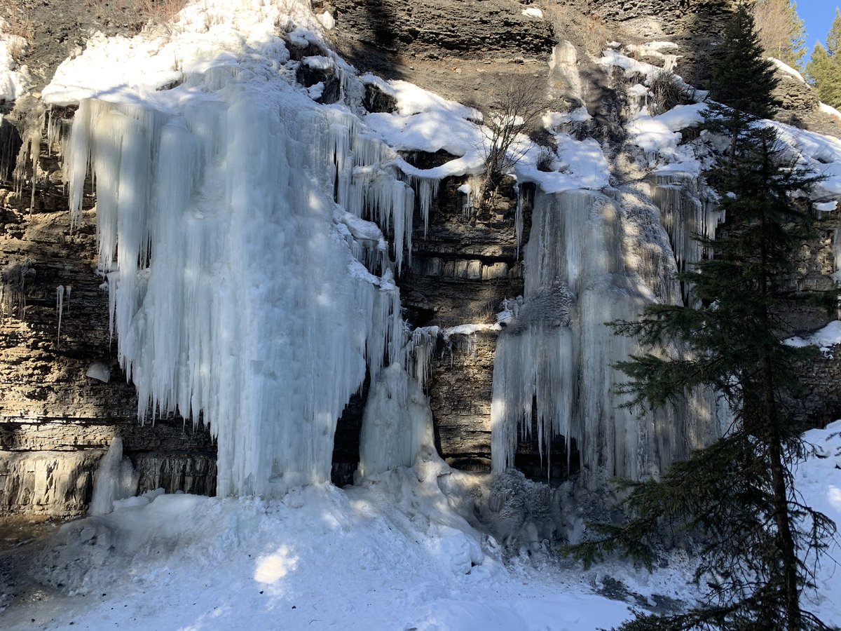 Avery West tweet media