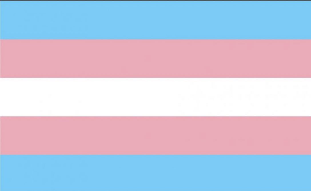 Today is International Day of Trans Visibility.  Stand with, not against, today and every day. 
 #TransDayOfVisibility 
🏳️‍⚧️See. 
🏳️‍⚧️Support. 
🏳️‍⚧️Love.