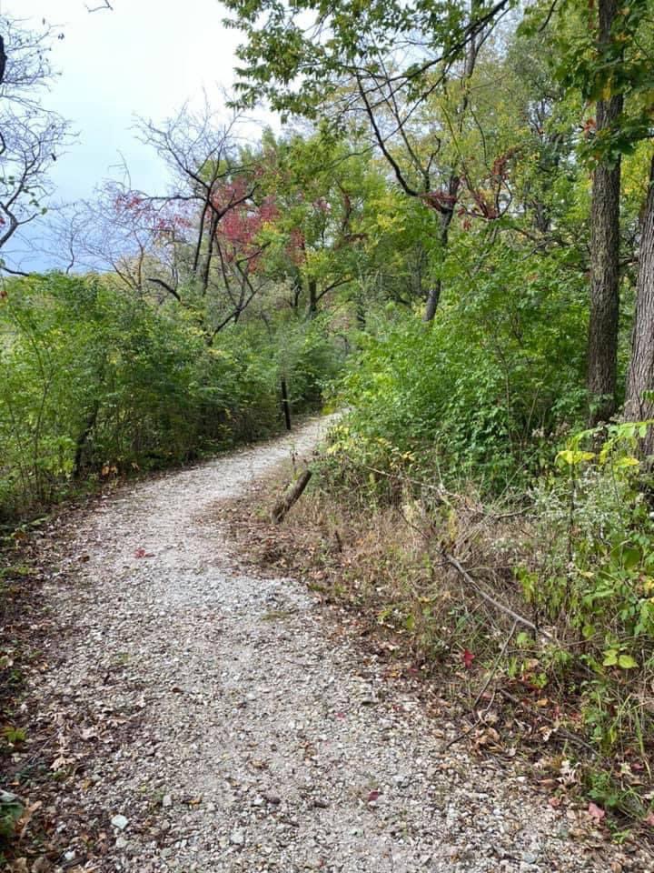 MidewinNatTP's tweet photo. Imagine a #trail dedicated just to people on foot.👟It’s the Prairie Creek Woods Trail! Experience Buttonbush Pond on this pleasant #looptrail through wooded areas. 41°20'32.2"N 88°10'16.5"W https://t.co/ztPQvmMGdr