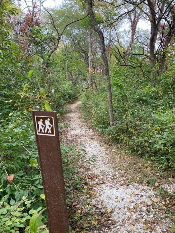 MidewinNatTP's tweet photo. Imagine a #trail dedicated just to people on foot.👟It’s the Prairie Creek Woods Trail! Experience Buttonbush Pond on this pleasant #looptrail through wooded areas. 41°20'32.2"N 88°10'16.5"W https://t.co/ztPQvmMGdr