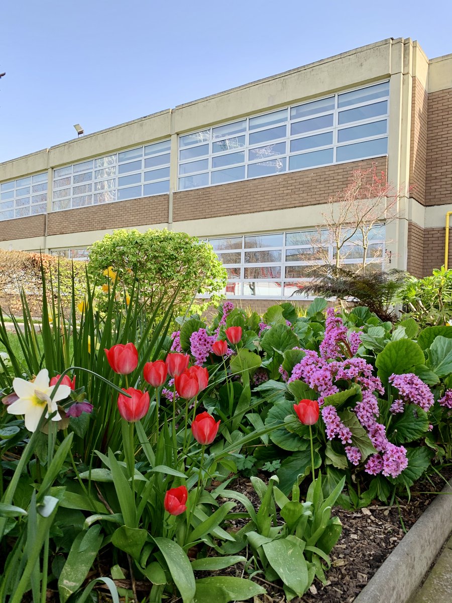 alexcollege's tweet photo. Spring has sprung here on Campus #AlexLife https://t.co/sj8DtRNFZ5