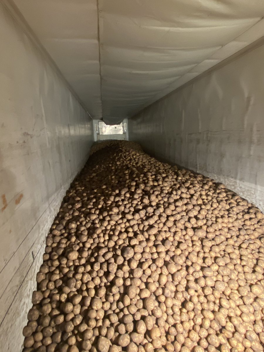 Who wants Tators??