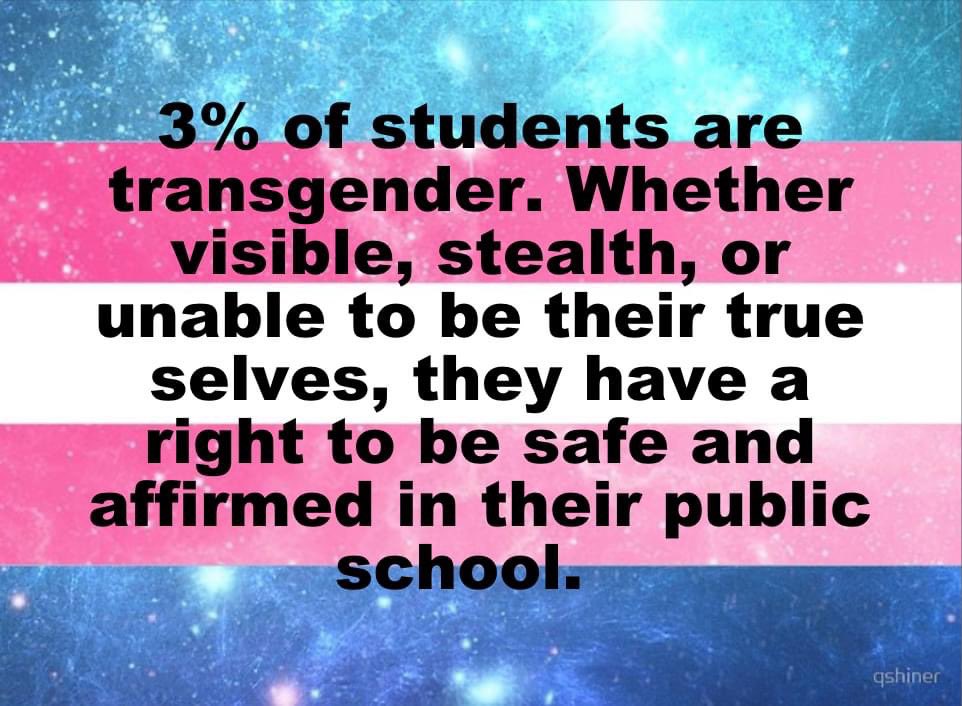 EducationMN's tweet photo. To our transgender students on #TransDayOfVisibility: we see you, we support you ❤️

#mnleg #TransRightsAreHumanRights #TransIsBeautiful 

📷 Gender Inclusive Schools https://t.co/KAfrHJh42n