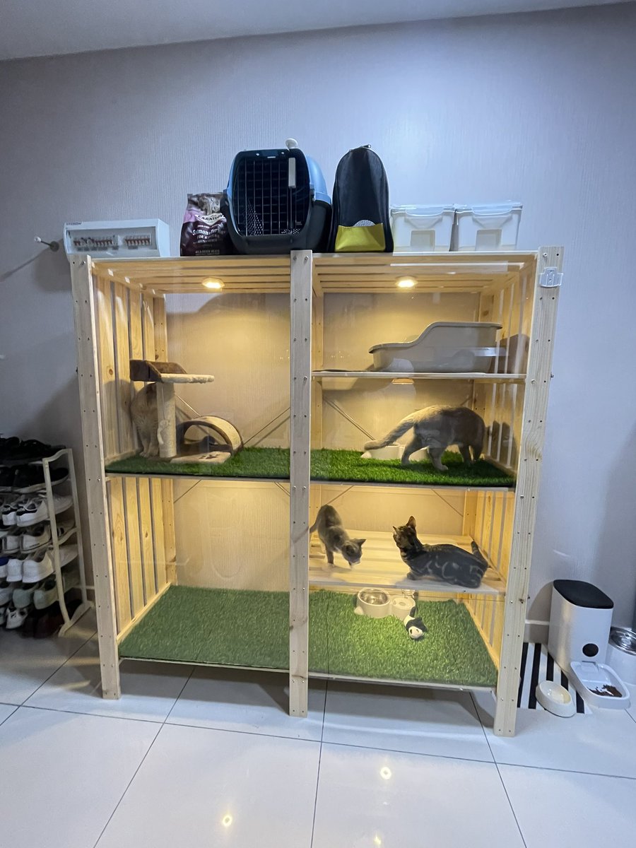 ihsnzlkfle's tweet photo. it only took me several weeks but here's the end result!!!!

a DIY project at home, cat bungalow made entirely (the structure) out of IKEA products 🙆🏻‍♂️ https://t.co/6jInFOoYeR