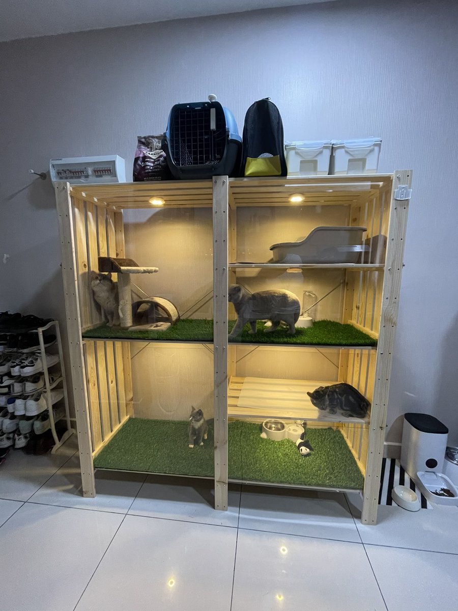 it only took me several weeks but here's the end result!!!!

a DIY project at home, cat bungalow made entirely (the structure) out of IKEA products 🙆🏻‍♂️