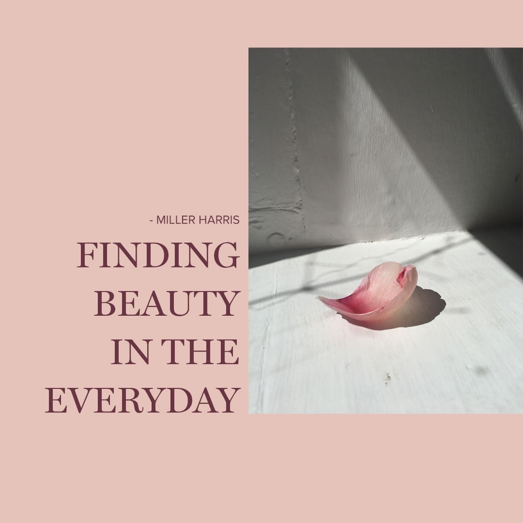 Miller Harris (@miller_harris) on Twitter photo 