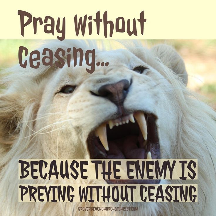 ministerricky1's tweet photo. @ErniHaesloop #HeavenlyFather thank You for Your #HolyPresence where 2or3 gather in #YourName
Thank You for helping us in prayer. Please #TurnYourHeart to our prayers & help all concerned
#BlessAndKeep #PrayerWarriors who #StandInTheGap
In #JesusChrist's AllPowerful Name
TY
#EuropaAfricaUS https://t.co/Yio4oKYGwQ