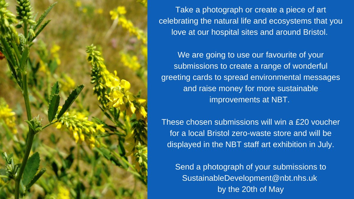 ☎️Calling all NBT Staff ☎️

We are running a new photography and art competition - winners receive a £20 voucher for a brilliant local zero-waste store!!

Submission theme: Bristol's Nature and Animals🐞

Deadline: 20th of May 

<a href="/NorthBristolNHS/">North Bristol NHS Trust</a> @NBT_Arts  #ForAGreenerNHS
