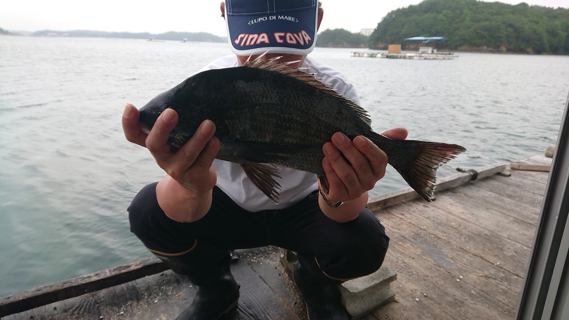 Proud奈良 鵜方浜釣りセンター コロナが少し収まったら息抜きしたいなぁ 道具のお手入れまた楽し チヌ かかり釣り 筏釣り シマノ セイハコウ 鵜方浜 西尾渡船 鵜方浜釣りセンター 英虞湾 シマノセイハコウスペシャル T Co