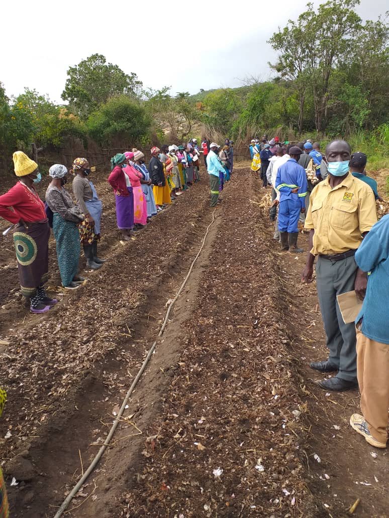 Wedza-North Constituency tweet media