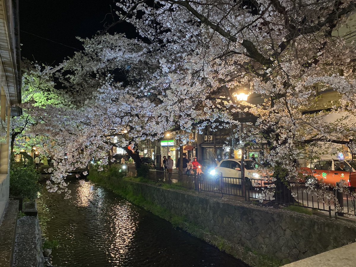 rirufera4422's tweet photo. ラストディシディア楽しかった〜
まさかの関東のおふたりとマッチングできて嬉しかったのと、ラストはやっぱりティナで〆。
味方の全致死風雷妖を固めて吐かせて感動の勝利！
一人でやってても無限に楽しい、やりすぎた😂😂😂 https://t.co/V1ff8qNs99
