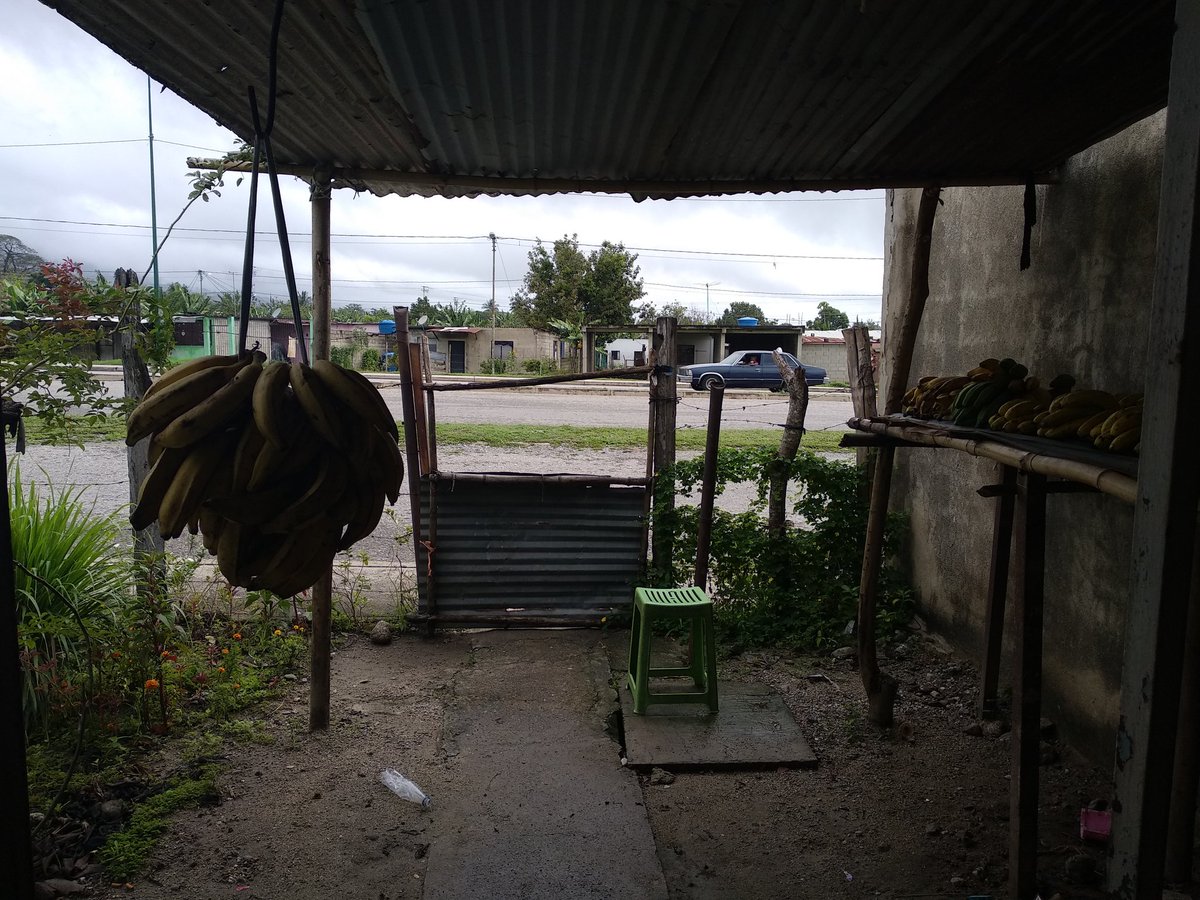 DouglasCardozoN's tweet photo. Plátano / 500 mil bs
Cambur / 450 mil bs
Cambur para torta / 400 mil bs
Lochos / 200 mil bs
Yuca / próximamente...
¡Aquí no se rinde nadie!
#ElRebusque https://t.co/GkEmv3mWnC