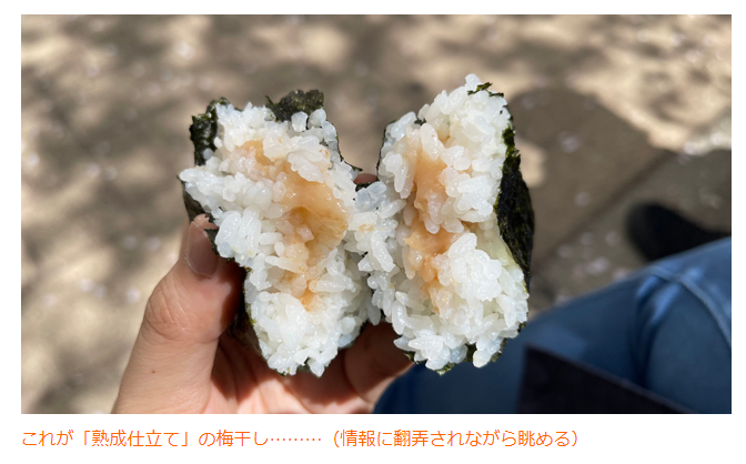 デイリーポータルz Auf Twitter コンビニのおにぎりは変わった具を選んでしまう 梅干しおにぎりを最後に食べたのはいつだろう 思い出せない ここらで心して全力で味わってみた 久しぶりに食べたコンビニの梅おにぎりは美しかった T Co Siknari3xq Dpz