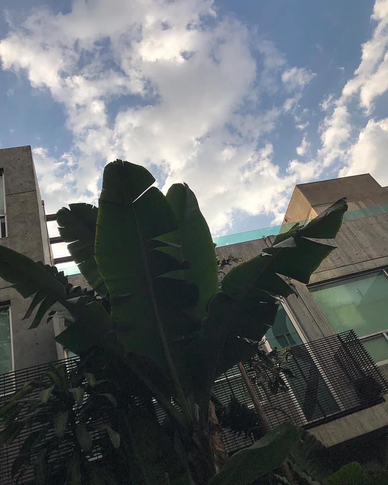 mikearciniega's tweet photo. El 20 de marzo cumplí un año en cuarentena. Así quedaron cerradas nuestras oficinas en @ArcherTroy
Fue muy triste. Tantas cosas han pasado desde ese día, buenas y malas, pero seguimos gracias al esfuerzo y la unión de un equipo.
De ésta también saldremos adelante. #BornToThink https://t.co/BYtHBOdWuw